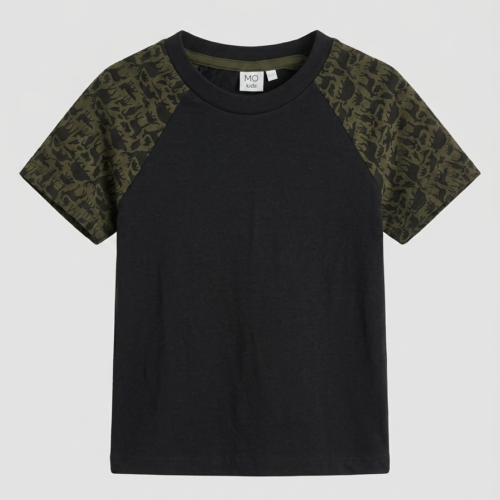 Dinosaur Print Sleeve T-Shirt