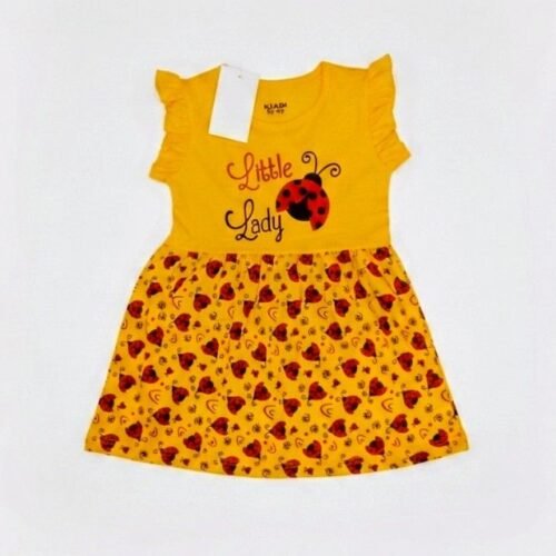 Little Lady Girl Frock